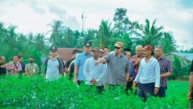 Bupati Batu Bara Bapak H. Baharuddin Siagian, SH, M.Si tinjau pertanian 