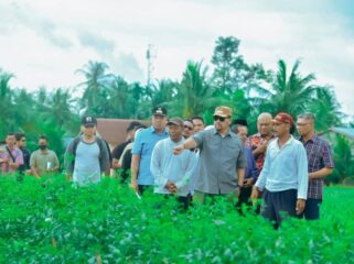 Bupati Batu Bara Bapak H. Baharuddin Siagian, SH, M.Si tinjau pertanian 