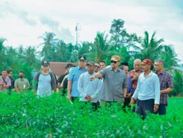 Bupati Batu Bara Bapak H. Baharuddin Siagian, SH, M.Si tinjau pertanian 