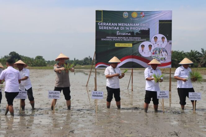 
					Kapolresta Deli Serdang Hadiri Gerakan Tanam Padi Serentak di Desa Pasar Miring