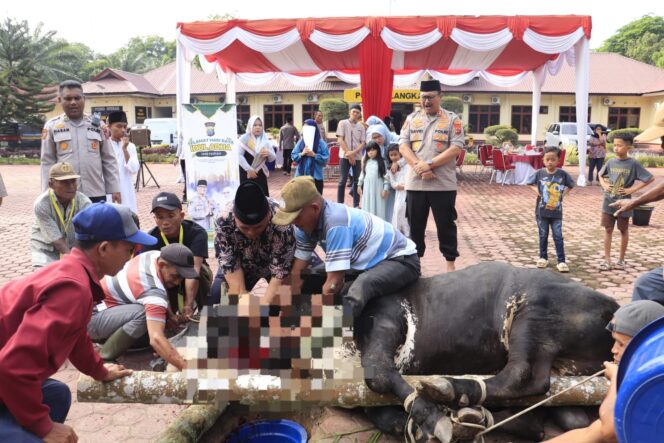
					Kapolres Langkat Serahkan 17 Hewan Kurban di Idul Adha 1446 H