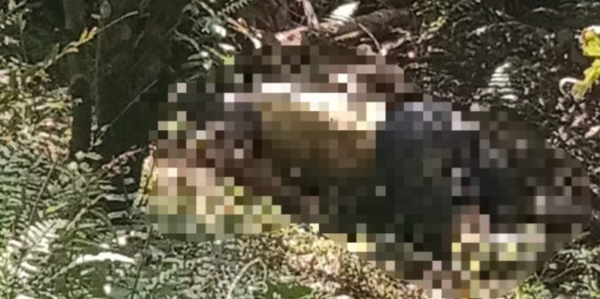 					Tim inafis polresta deli serdang tanggap langsung mengevakuasi korban seorang petani