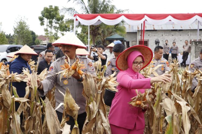 
					Polres Langkat Gelar Panen Raya Jagung Kuartal III 2025