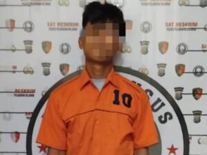 Tega!! Aniaya Adik Kandung, Satreskrim Polres Pelabuhan Belawan Tangkap Pelaku