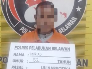 Sat Narkoba Polres Pelabuhan Belawan Tangkap Pengedar Ganja