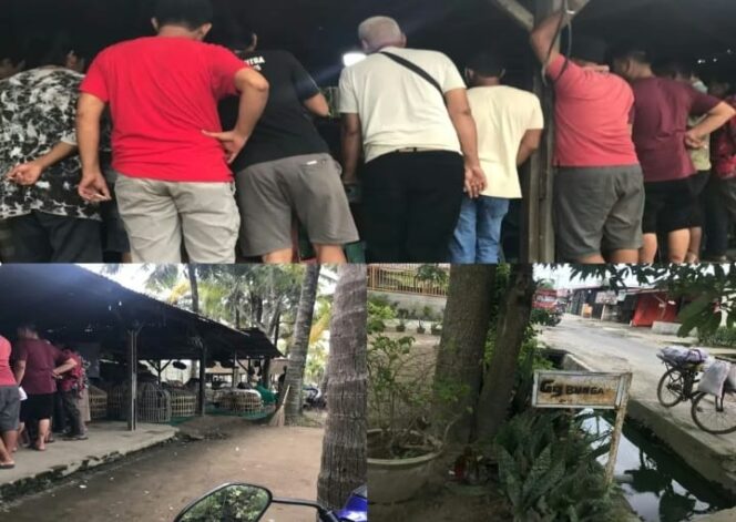 
					Lapor Pak Polisi!! Di Marelan Ada Lapak Sabung Ayam dan Judi Kartu Bebas Beroperasi