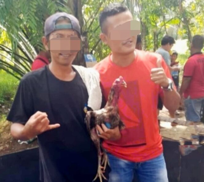 
					Lapor Pak Kapolres!! Judi Sabung Ayam Bebas Beroperasi Diduga Oknum TNI Beck up