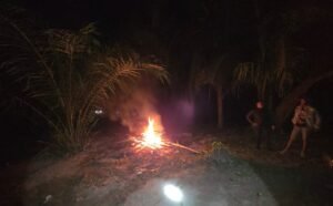 Sat Narkoba Polres Langkat dan Aparat Desa Musnahkan Gubuk Diduga Barak Narkoba