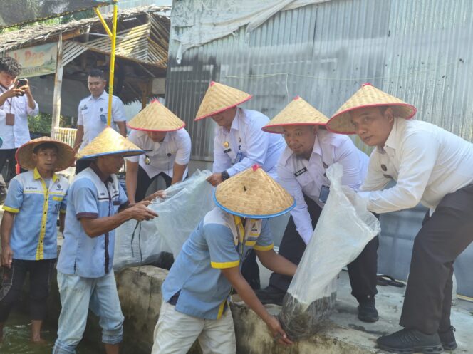 
					Wujudkan Kemandirian Warga Binaan, Lapas Labuhan Ruku Tebar 10.000 Benih Ikan Lele