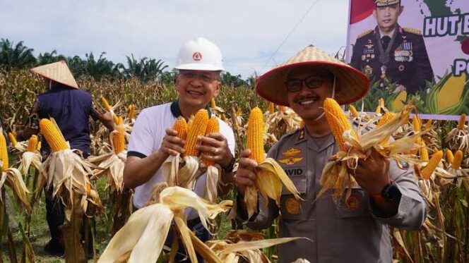 
					Polres Langkat Dorong Ketahanan Pangan Nasional, Fasilitasi KUR untuk Petani Jagung