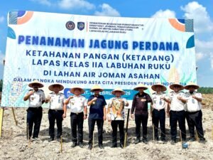 Dari Lahan Air Joman untuk Negeri: Jajaran Pemasyarakatan Sumut Dan Pemda Asahan Tancap Gas Tanam Jagung, Wujud Nyata Dukung Ketahanan Pangan Nasional!