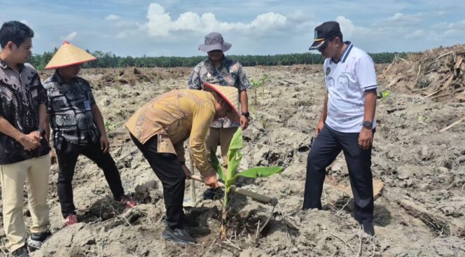 
					Dari Lahan Tidur ke Lahan Subur: Lapas Labuhan Ruku Tanam 500 Bibit Pisang, Perkuat Ketahanan Pangan dan Kemandirian WBP