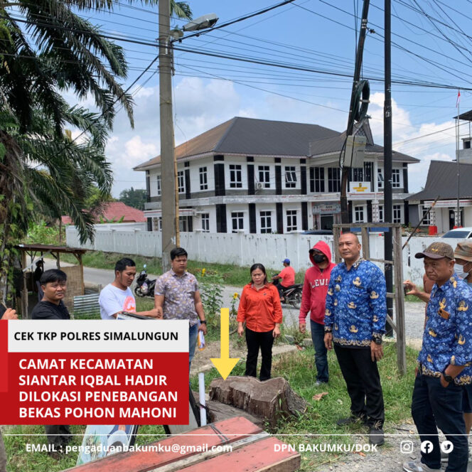 
					Poldasu Serahkan Dugaan Penebangan Mahoni ke Polres Simalungun, Cek TKP Dinilai Tidak Prosedural