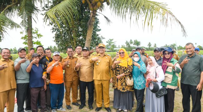 Bupati Deli Serdang, dr H Asri Ludin Tambunan didampingi Ketua TP PKK, Ny Jelita Asri Ludin Tambunan bersama Wabup, Lom Lom Suwondo SS didampingi Ketua I Bidang Pembinaan Karakter Keluarga, Ny Asniar Lom Lom Suwondo SS,menunjukkan bawang merah yang baru dipanen pada panen bawang merah Kelompok bersama Tani Oriza di Desa Sumberejo, Kecamatan Pagar Merbau, Selasa (10/3/2026).  