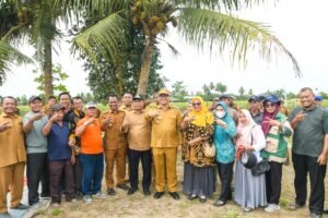 Bupati Deli Serdang, dr H Asri Ludin Tambunan didampingi Ketua TP PKK, Ny Jelita Asri Ludin Tambunan bersama Wabup, Lom Lom Suwondo SS didampingi Ketua I Bidang Pembinaan Karakter Keluarga, Ny Asniar Lom Lom Suwondo SS,menunjukkan bawang merah yang baru dipanen pada panen bawang merah Kelompok bersama Tani Oriza di Desa Sumberejo, Kecamatan Pagar Merbau, Selasa (10/3/2026).  
