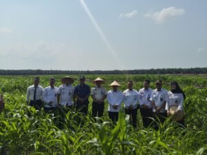 Dirpamintel Ditjenpas Tinjau Ketahanan Pangan di Lahan Air Joman dan Monev Lapas Labuhan Ruku, Pengamanan Sesuai SOP dan Pertanian Produktif Tuai Apresiasi