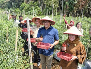 Bupati Deli Serdang, dr H Asri Ludin Tambunan bersama Wakil Bupati, Lom Lom Suwondo SS melakukan panen cabai bersama petani di Desa Perpanden, Jumat (24/4/2026).ist