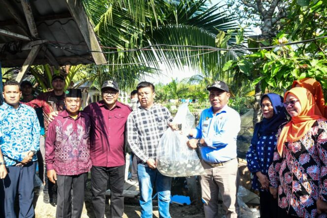 
					Bupati dan Wakil Tinjau TPI Paluh Manan Hingga Serahkan Bantuan RTLH
