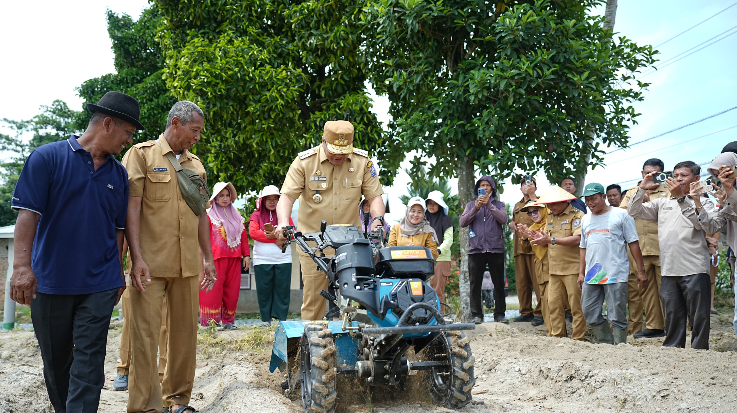 Bupati