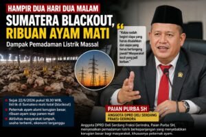 PLN Padam Total, Peternak Ayam Menjerit — Anggota DPRD Deli Serdang Paian Purba SH Soroti Blackout Sumatera