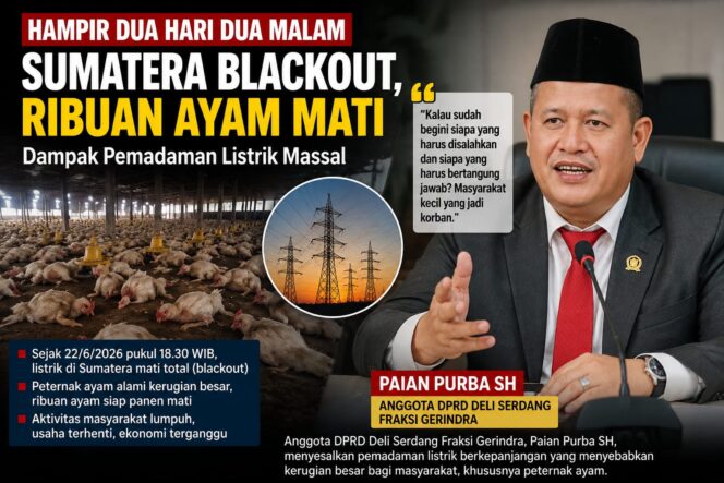 
					PLN Padam Total, Peternak Ayam Menjerit — Anggota DPRD Deli Serdang Paian Purba SH Soroti Blackout Sumatera