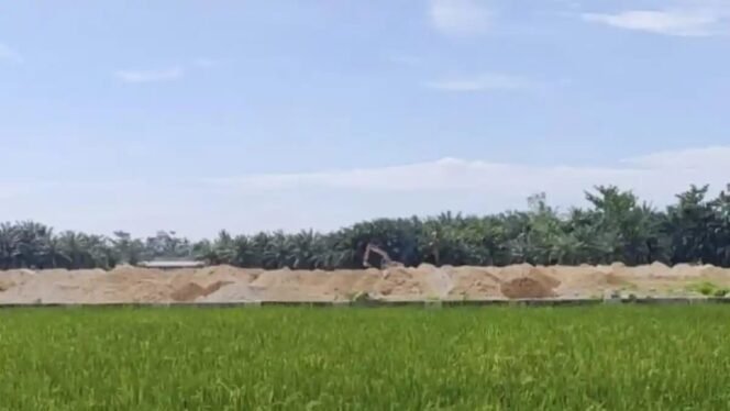 
					Kadis Penanaman Modal Deli Serdang Klarifikasi Soal Alih fungsi Lahan Sawah Produktif di Pantai Labu