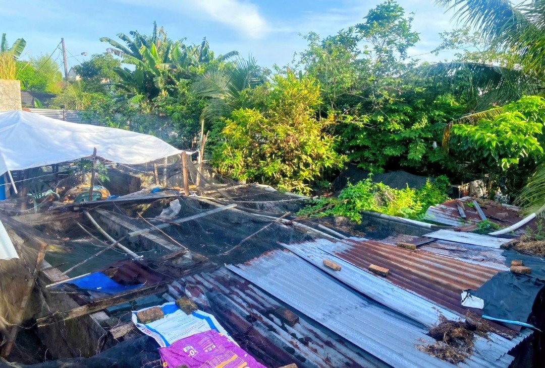 Warga Resah Bau Limbah, Usaha Lele di Komplek Pemda Medan Tuntungan Kembali Dipersoalkan