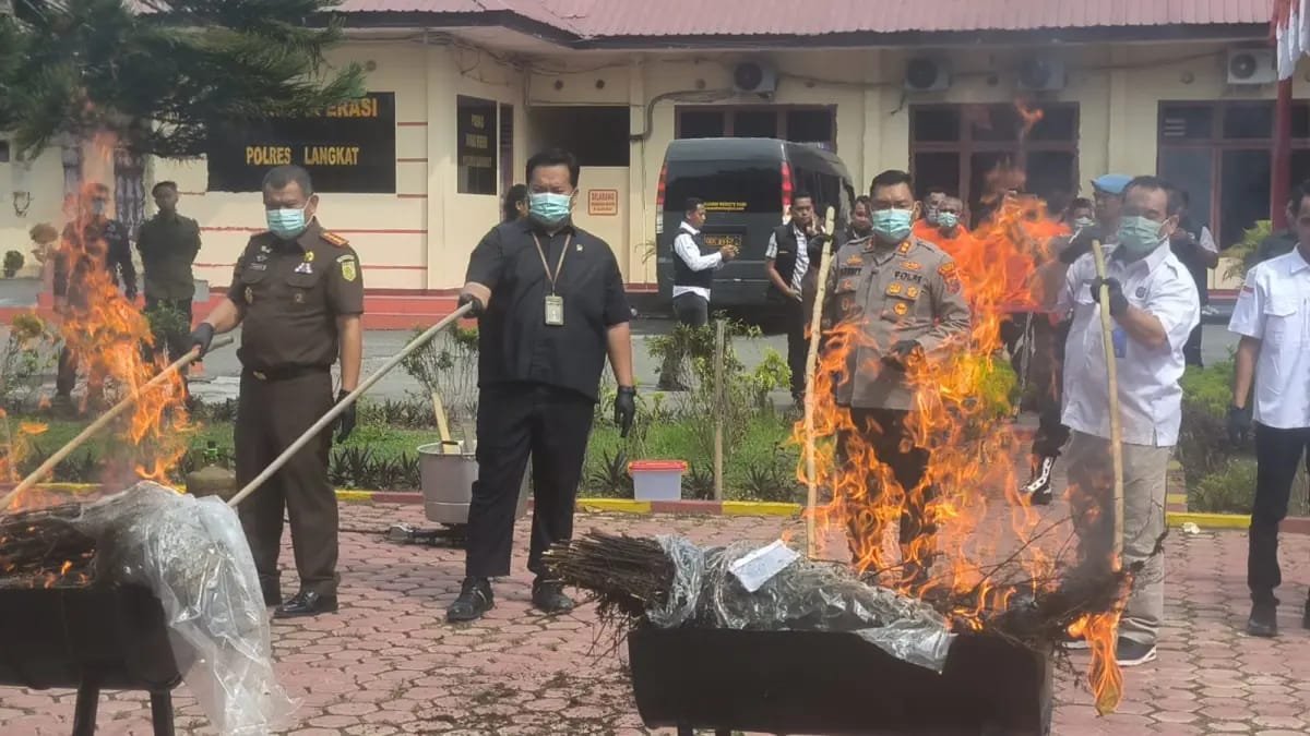 Polres Langkat Musnahkan 17,4 Kg Ganja dan 370 Gram Sabu, 9 Tersangka Diringkus