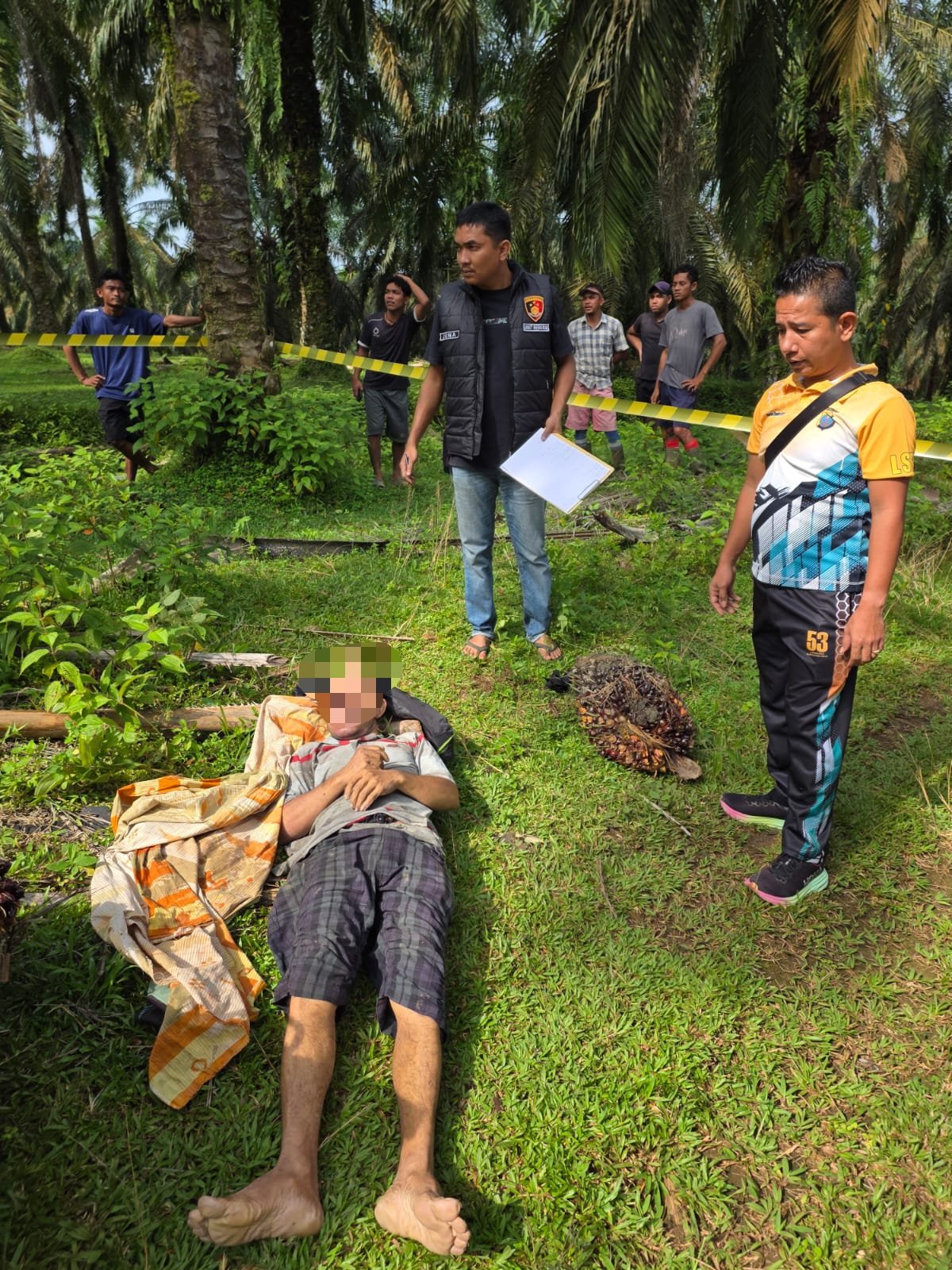 Warga Beruam Dihebohkan Penemuan Mayat Pria di Perladangan Kelapa Sawit